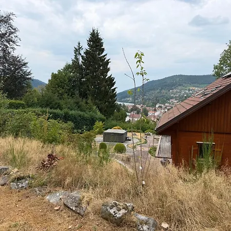 Vue 5 Min A Pied Du Centre Jacuzzi Jardin Chalet Gérardmer